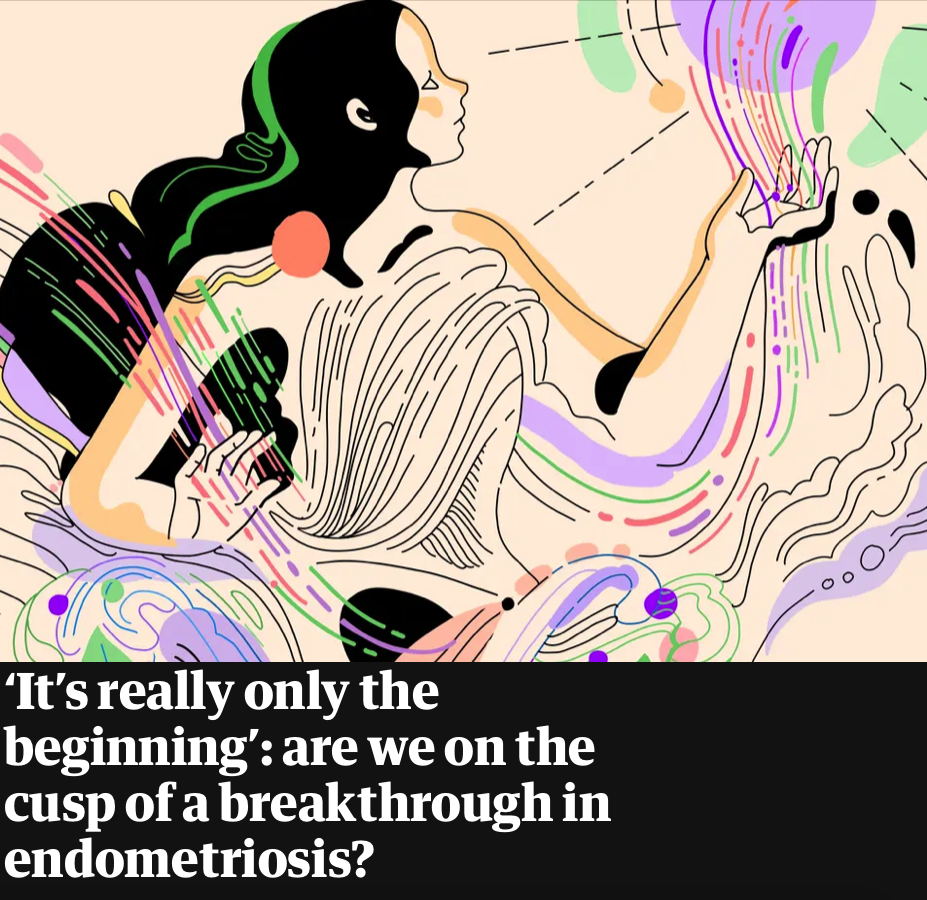 Guardian article: