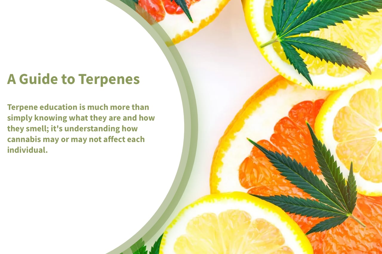 A Guide To Terpenes