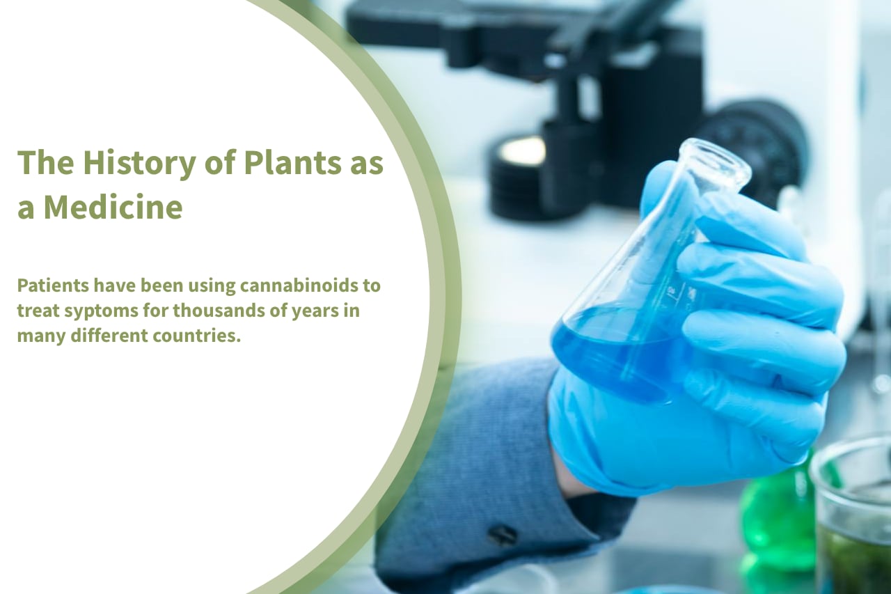 History of Plant Medicine