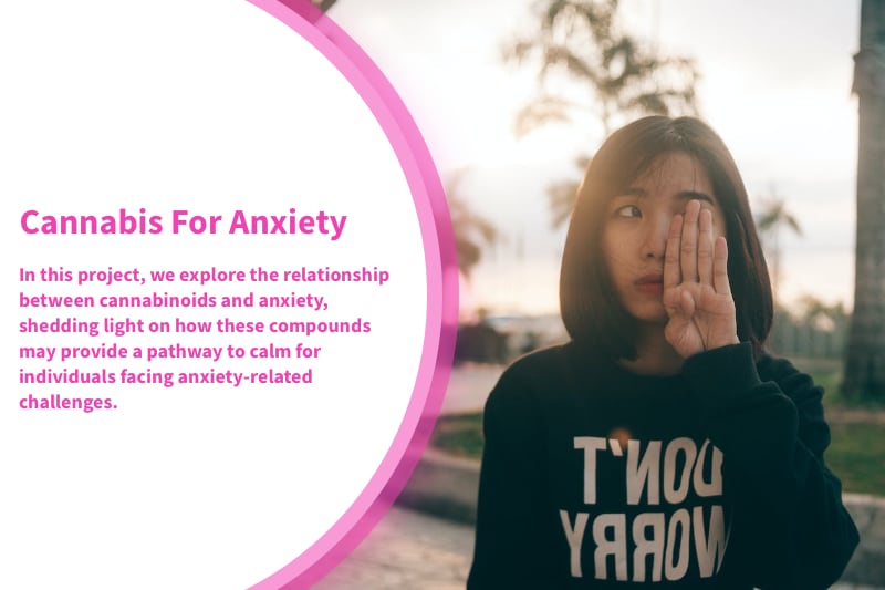 Cannabis For Anxiety