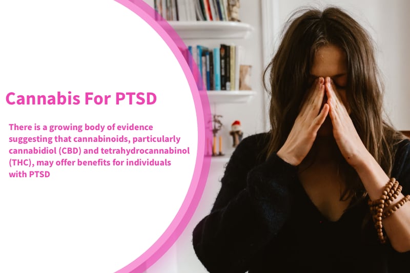 Cannabis For PTSD