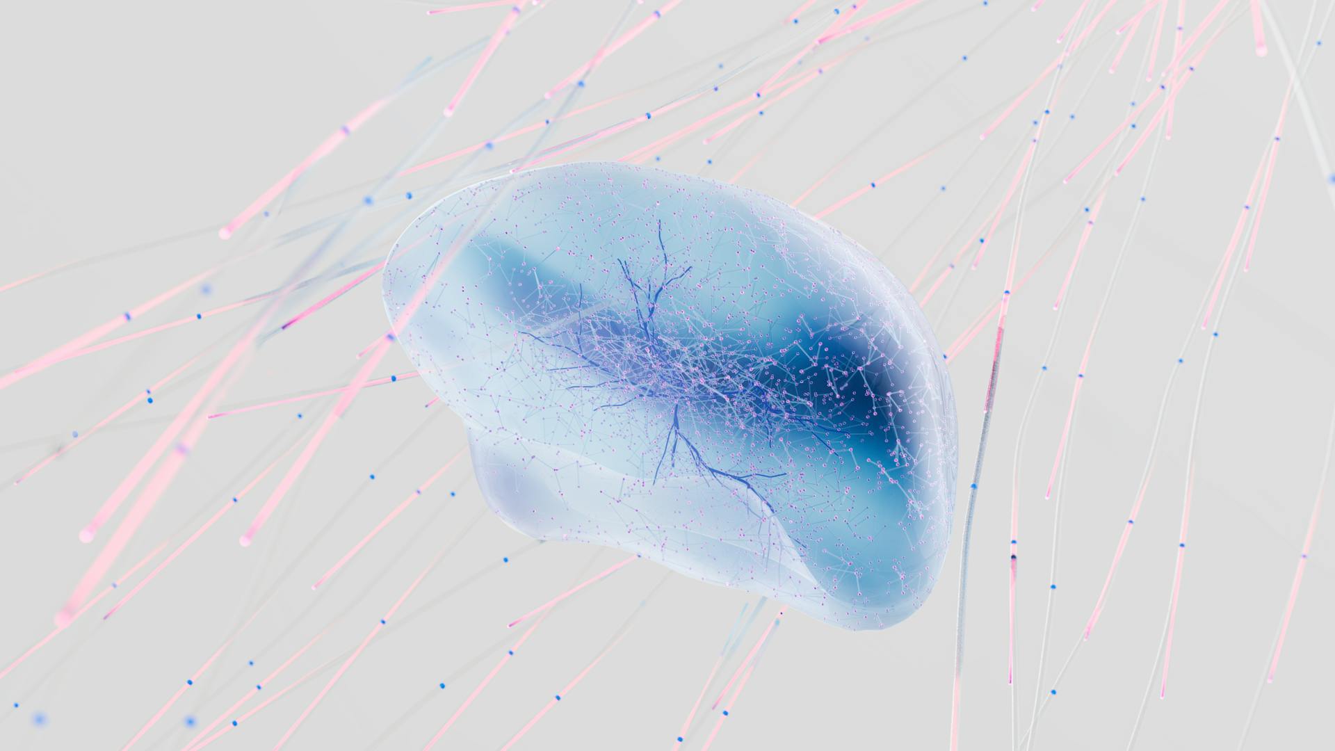 An Introduction to CB1 and CB2 Receptors
