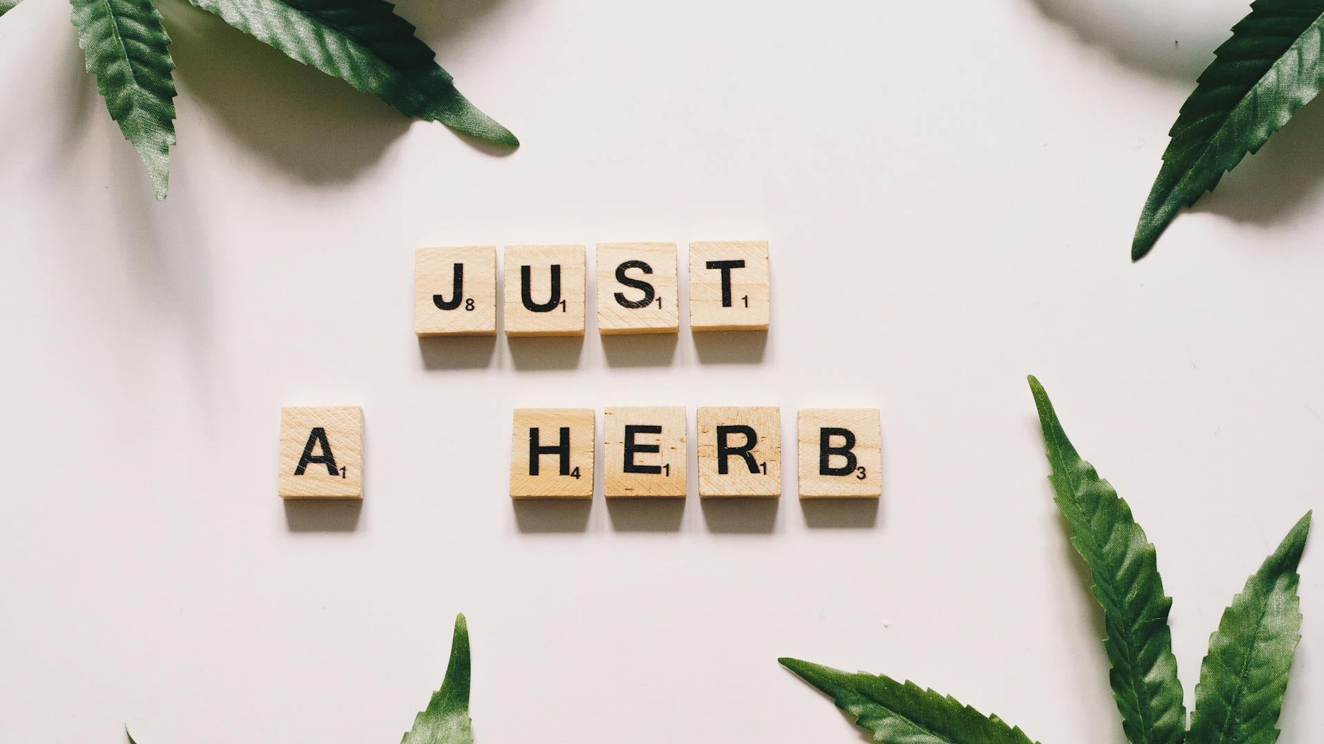 Introducing the Plantz Buying Club