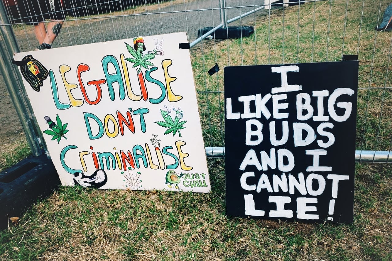 What is Plantz? Our Manifesto