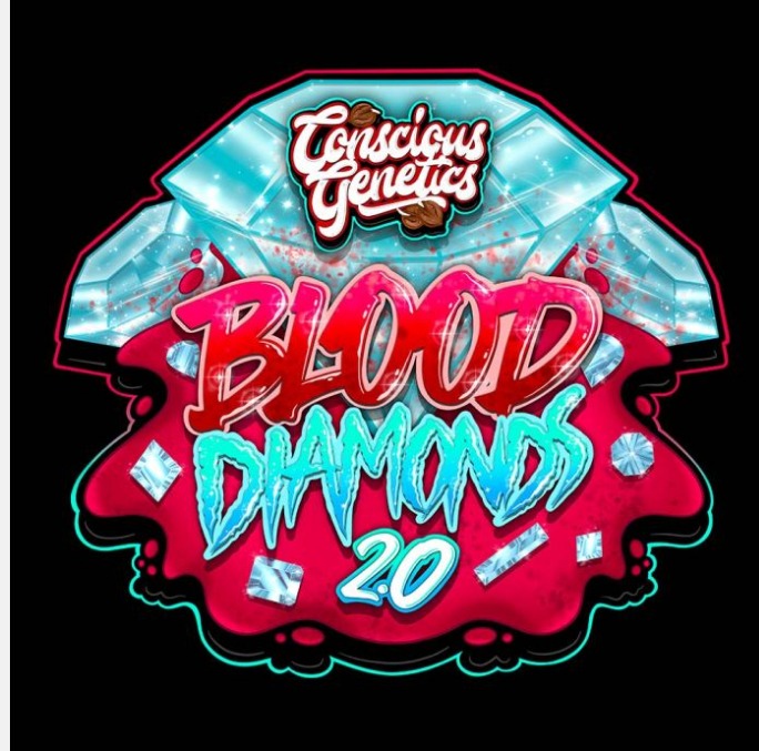 Blood Diamonds 2.0 Feminized Seeds by Conscious Genetics