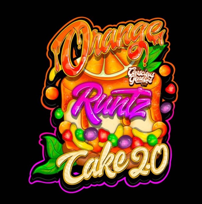 Orange Runtz Cake 2.0 Feminized Seeds by Conscious Genetics
