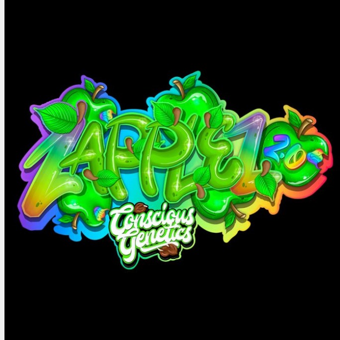 Zapplez 2.0 Feminized Seeds by Conscious Genetics