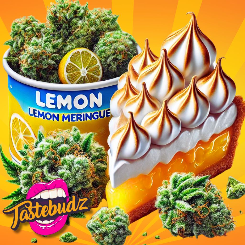 Lemon Meringue Strain Autoflower Seeds by Tastebudz