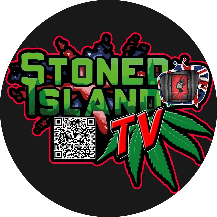 Spotlight: SITV
