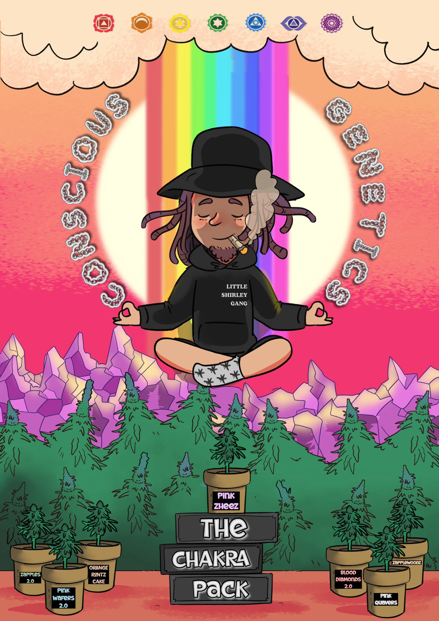 The Chakra Pack – Limited Edition